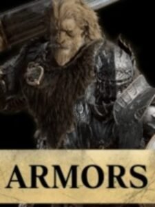 What is the best armor in Dragon's Dogma?