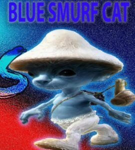 Blue smurf cat