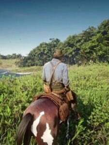 7 Pro Tips For Red Dead Redemption 2